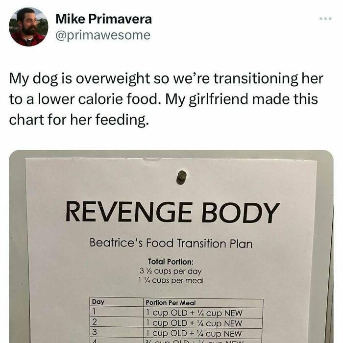 Tweet about a humorous dog food transition plan chart, featured in prime awesome tweets collection.