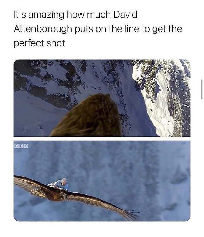 Meme showing David Attenborough humorously riding an eagle, highlighting unapologetically British humor in memes and posts.