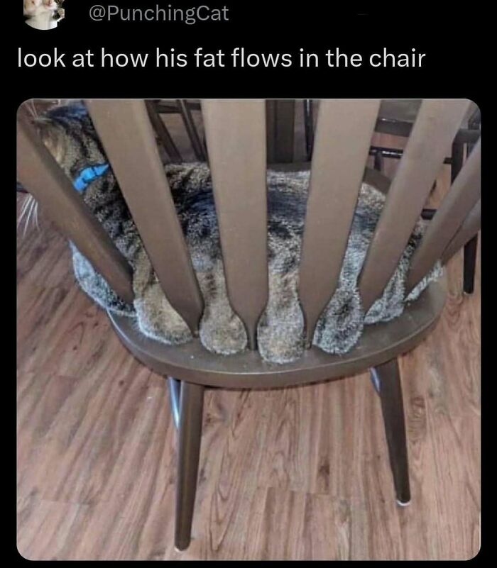 Animal-Humor-Pics-Animalxhumor