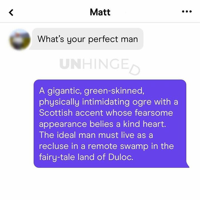 Screenshot of a hilarious and unhinged dating app conversation about the perfect man with a green-skinned ogre description.