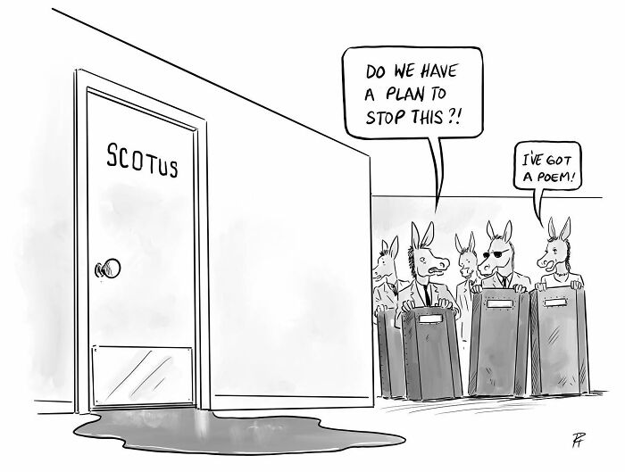 Cartoon showing donkeys outside a SCOTUS door with speech bubbles discussing plans, representing comics that spark important conversations.