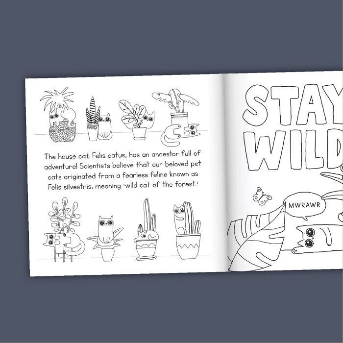 Cat Lovers Unite: We Created A Purr-Fect Cat Coloring Book
