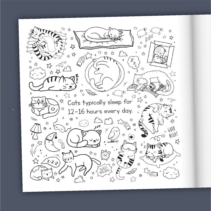 Cat Lovers Unite: We Created A Purr-Fect Cat Coloring Book