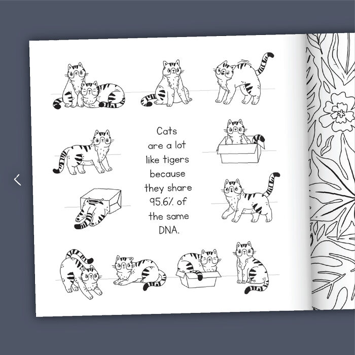 Cat Lovers Unite: We Created A Purr-Fect Cat Coloring Book