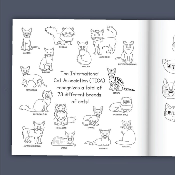 Cat Lovers Unite: We Created A Purr-Fect Cat Coloring Book