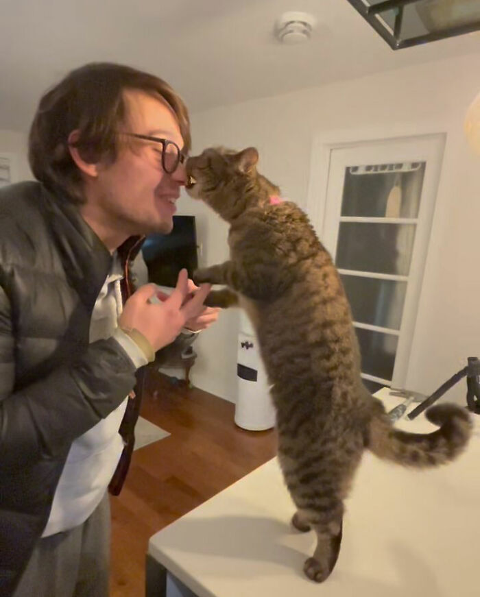 Man and a tabby cat showing affection indoors, highlighting the cat's journey of finding love after being returned twice