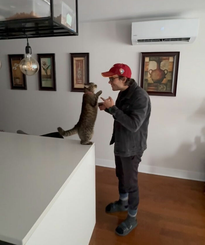 Man wearing a red cap interacting with a cat standing on a counter, showing a moment of love and connection between them.