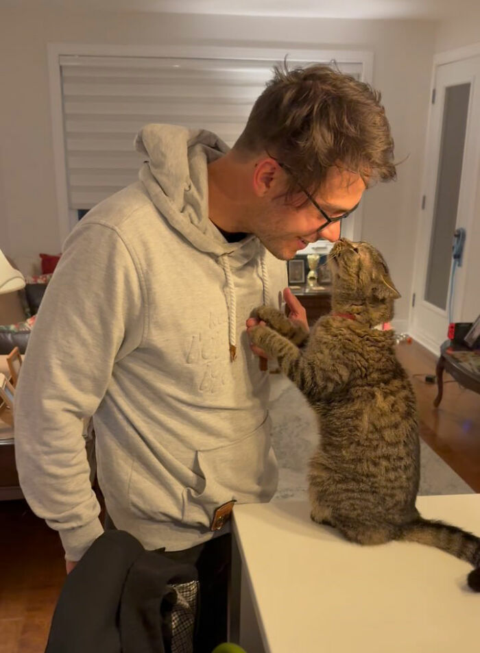 Man wearing glasses and a gray hoodie sharing a close moment with a determined cat refusing to give up on finding love.