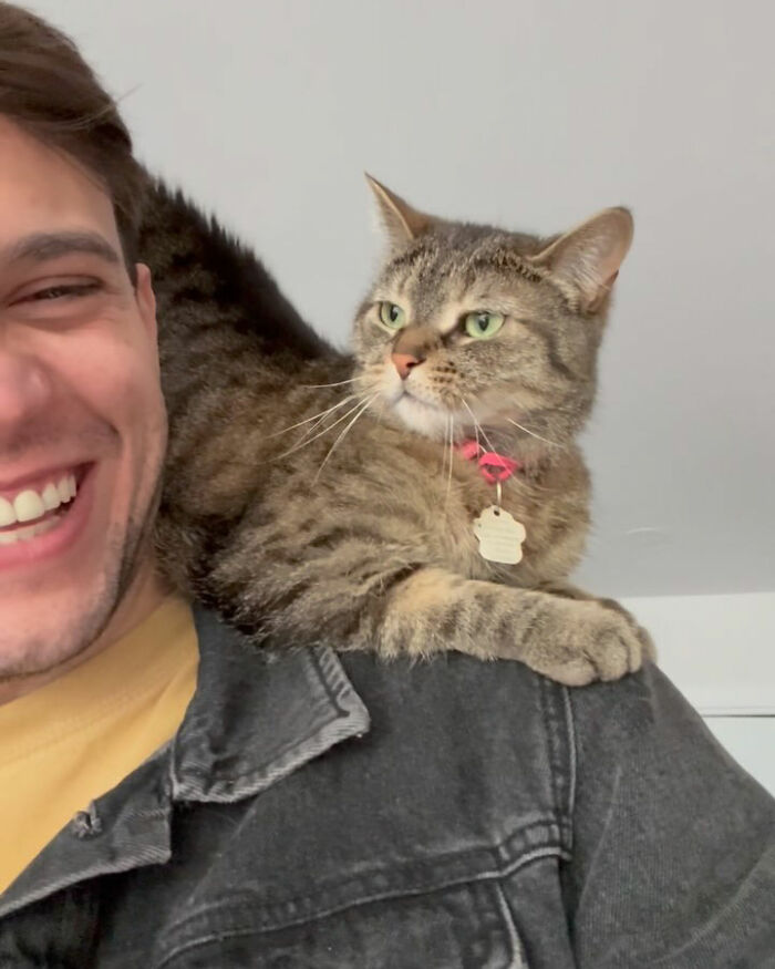 A tabby cat with a pink collar perched on a smiling man's shoulder, showing a cat refused to give up on finding love.