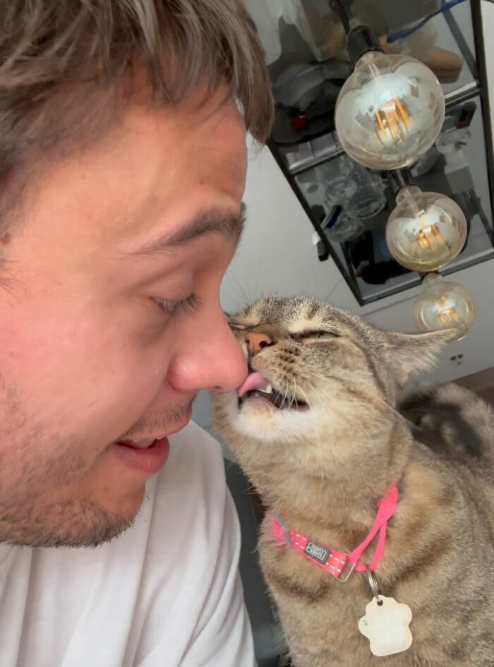Man and a cat showing affection, highlighting a cat's journey of finding love despite being returned twice.