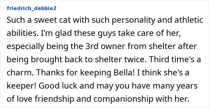 Sweet cat with strong personality, athletic abilities, and a loving owner after being returned twice by the shelter.