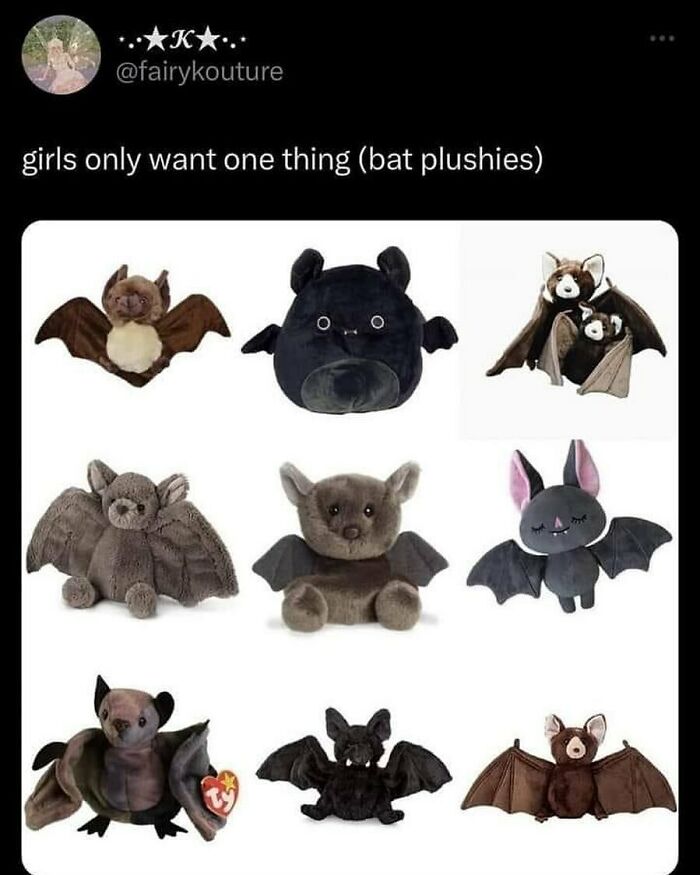 Collection of cute bat plushies featured in relatable memes for horror and Halloween fans on a white background.