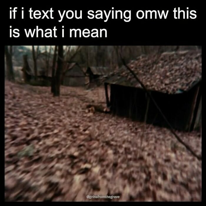 Blurry scene of a cabin in the woods in a horror movie meme about texting and being on my way.