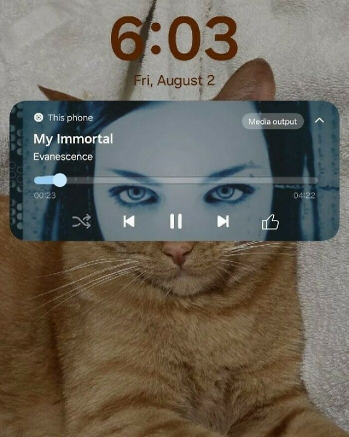 Orange cat with music player overlay on its face, blending human eyes with the cat’s expression in a funny way.