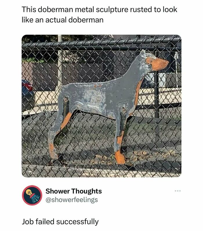 Animal-Humor-Pics-Animalxhumor