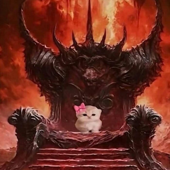 White cat with a pink bow sitting on a dark throne with fiery background, showcasing cats being their hilarious and weird selves.