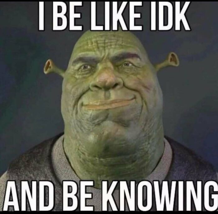 Shrek with a confused expression captioned with text about feeling uncertain, representing posts that hit different at 3AM.
