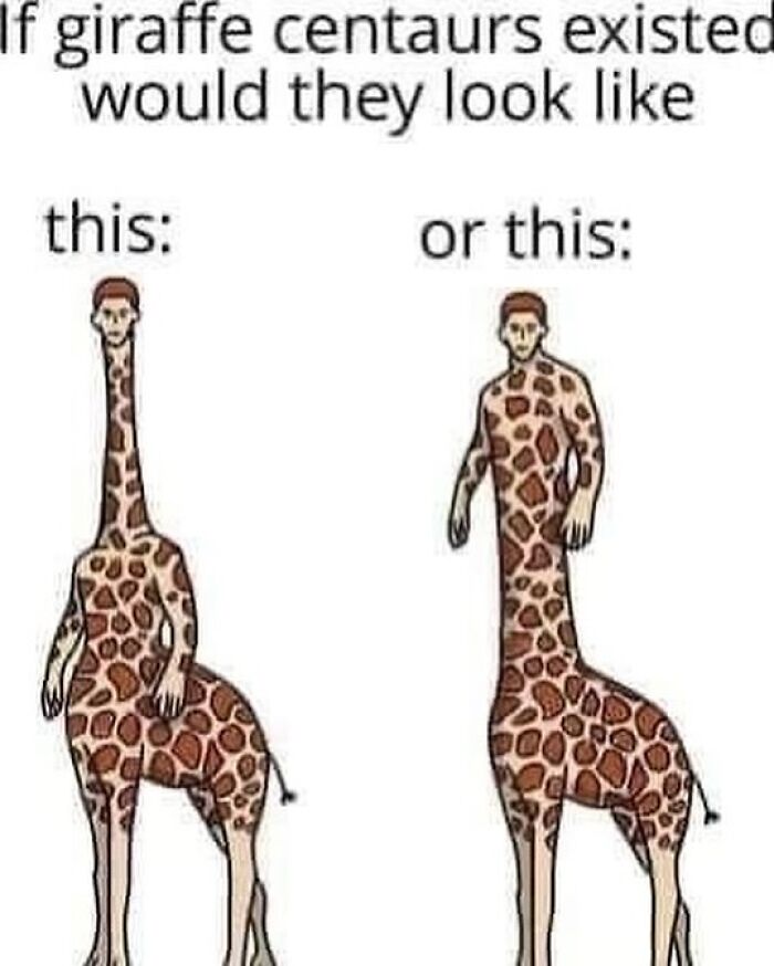 Animal-Humor-Pics-Animalxhumor