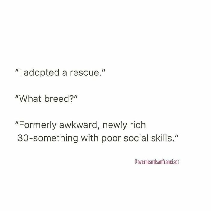 Text conversation humorously describing adopting a rescue as a dating-related awkward, newly rich 30-something with poor social skills.