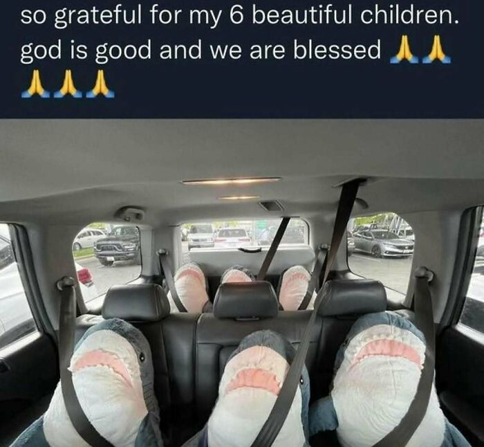 Animal-Humor-Pics-Animalxhumor