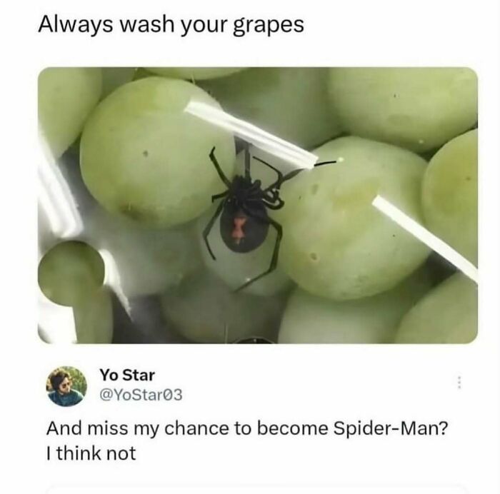 Animal-Humor-Pics-Animalxhumor