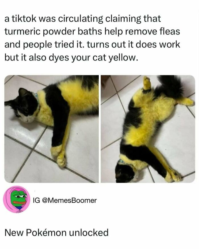 Animal-Humor-Pics-Animalxhumor