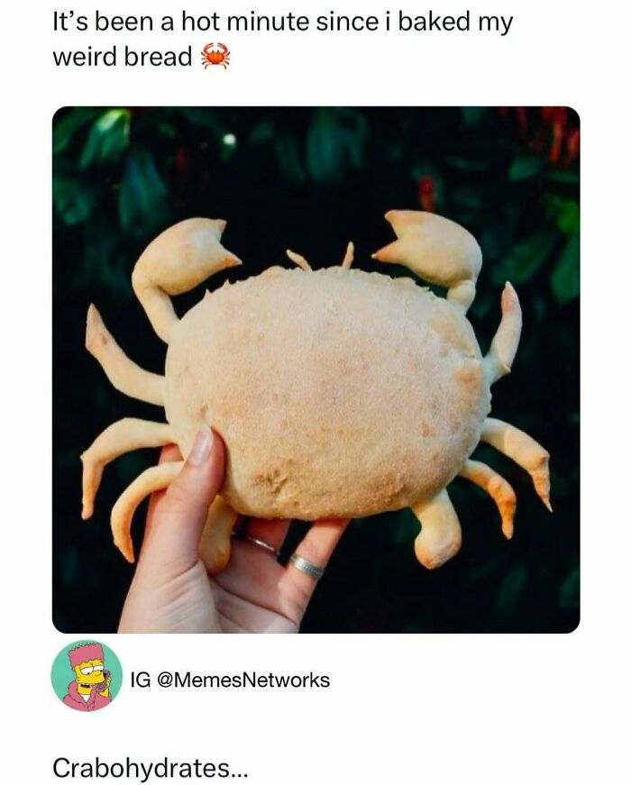 Animal-Humor-Pics-Animalxhumor