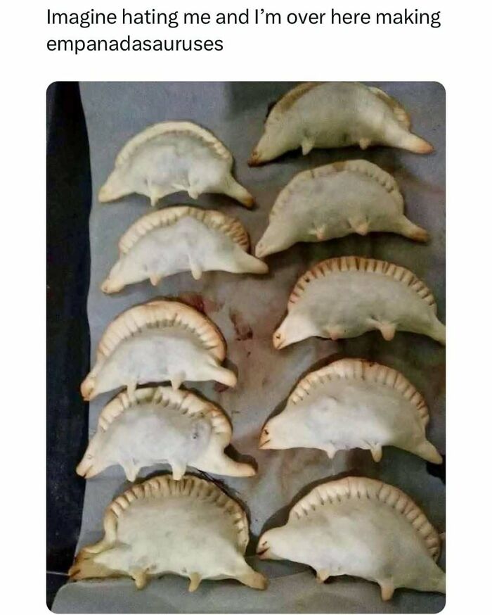 Animal-Humor-Pics-Animalxhumor