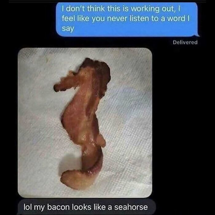 Animal-Humor-Pics-Animalxhumor