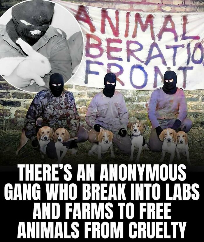 Masked activists with dogs in front of an Animal Liberation Front banner promoting animal rescue and freedom from cruelty.