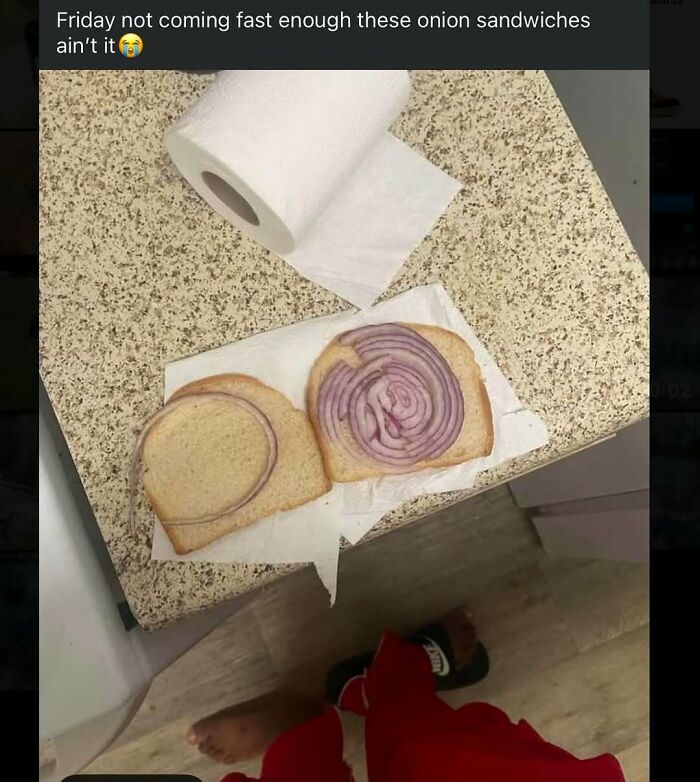 Open sandwich with raw onion slices on white bread next to a roll of paper towels on a kitchen counter, humorous image.