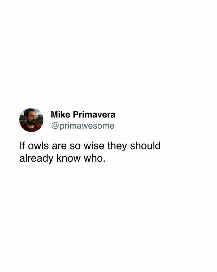 Tweet by Mike Primavera humorously questioning owl wisdom, featured in prime awesome tweets for morning coffee laughs.