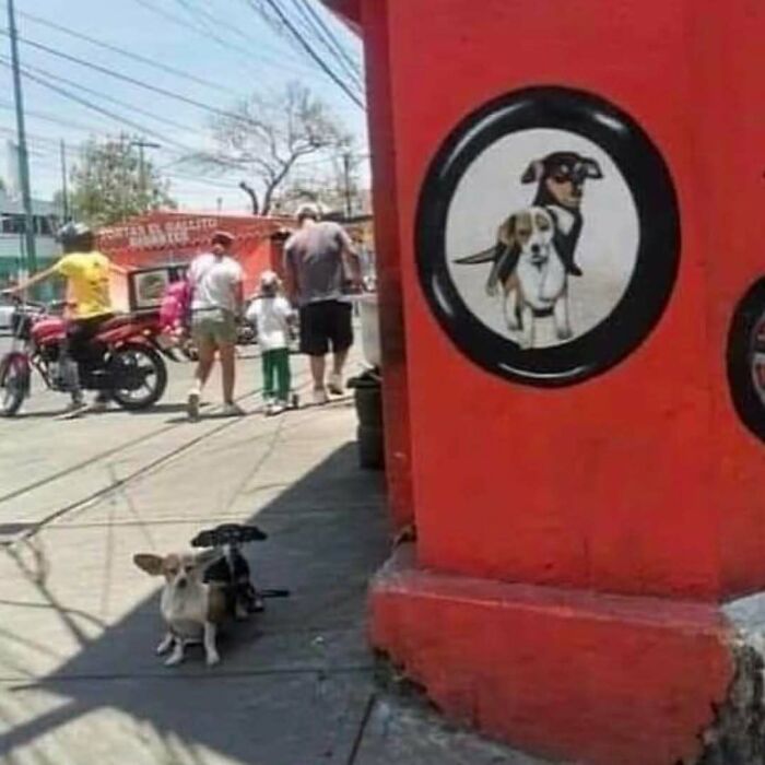 Two dogs sitting on a sidewalk near a wall with a painted sign showing the same two dogs, surreal image needing exorcist.