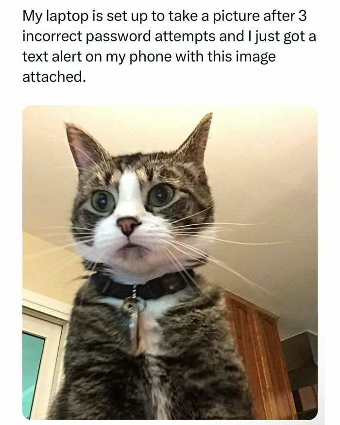 Animal-Humor-Pics-Animalxhumor