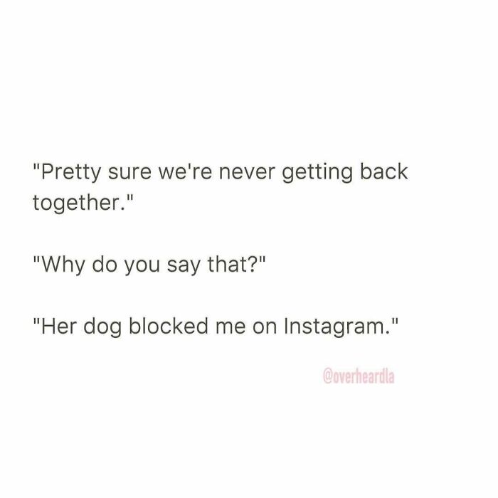 Funny dating conversation text about a breakup with a dog blocking someone on Instagram, highlighting hilarious dating moments.