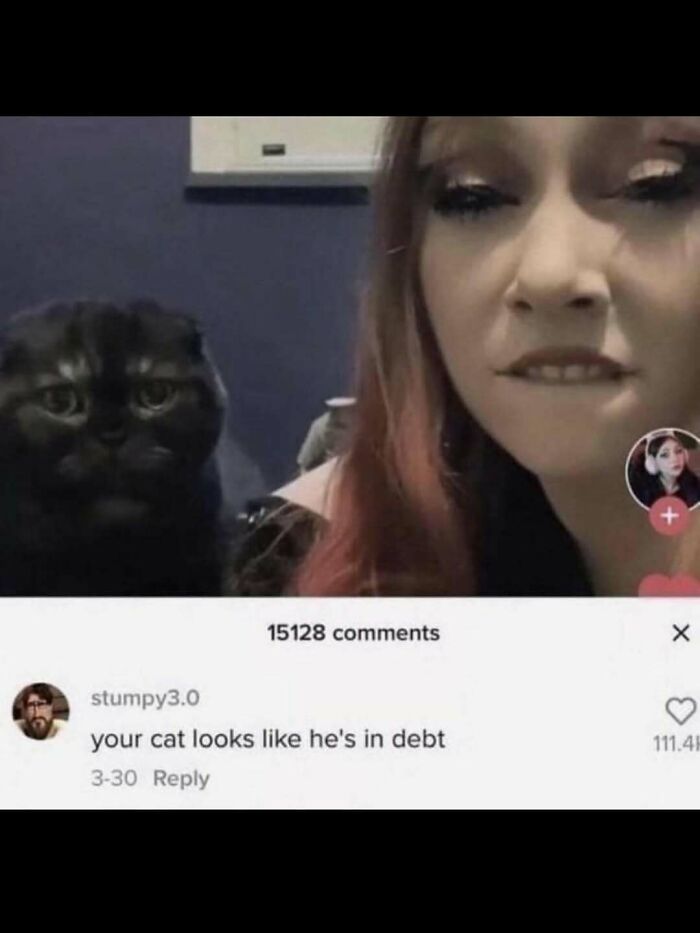 Cat meme featuring a black cat with a serious expression and a woman making a funny face, cute and funny cat memes.