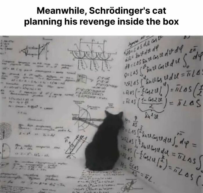 Black cat sitting surrounded by complex math equations on walls, a funny cute cat meme for stress relief and laughter.