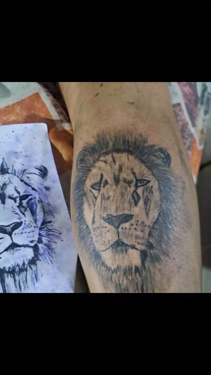 Lion tattoo on a person's leg with an uneven and unclear design next to the original lion drawing.