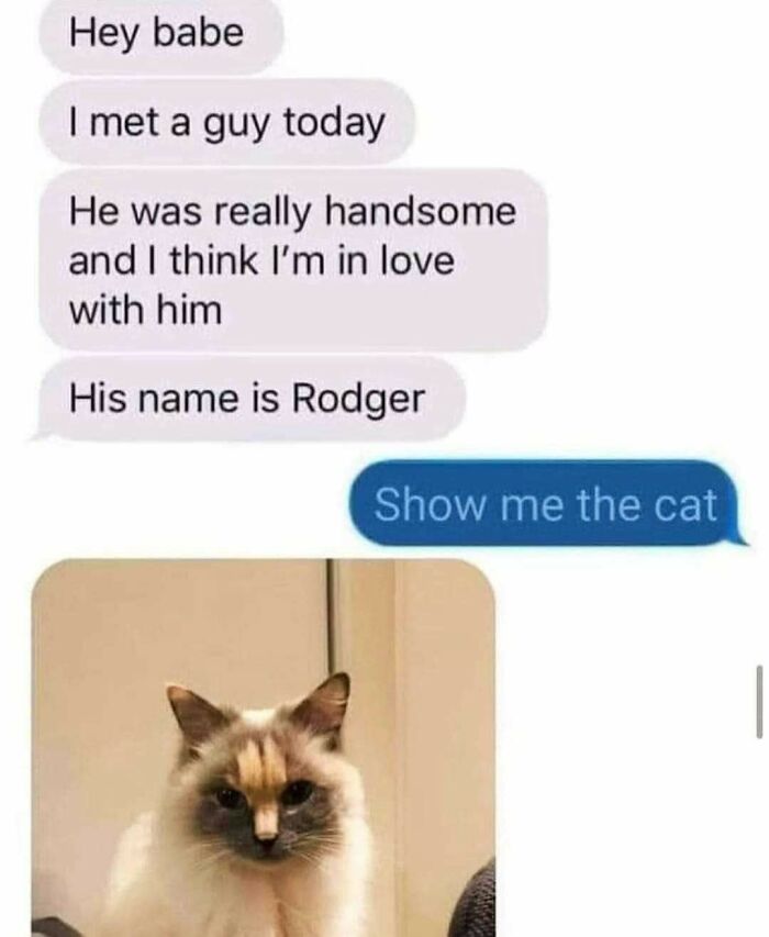 Text message exchange about meeting a handsome cat named Rodger, followed by a photo of a fluffy, goofy cat.