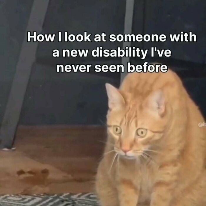Orange cat with focused expression, captioned about looking at someone with a new disability, funny cat memes for stress relief.