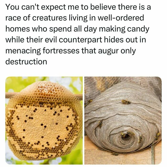 Animal-Humor-Pics-Animalxhumor