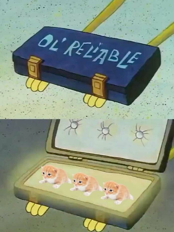 Suitcase labeled "Ol' Reliable" opens to reveal three tiny kittens inside, a cute and funny cat meme.