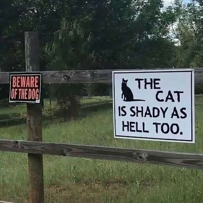 Funny cat meme sign on a wooden fence warning that the cat is shady, next to a beware of the dog sign outdoors.