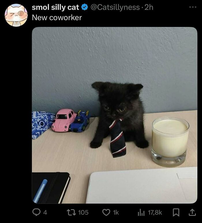 Black kitten wearing a tie sitting on desk with toy cars and a glass of milk, showcasing goofy cat behavior.
