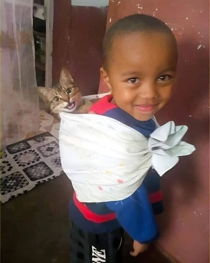 Young child smiling with goofy cat wrapped in cloth on their back, showcasing cats completely unaware of their silly look.