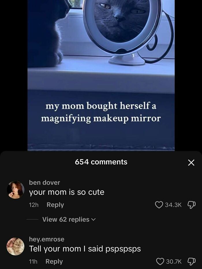 Black cat looking curiously at its reflection in a magnifying makeup mirror showing a goofy expression.