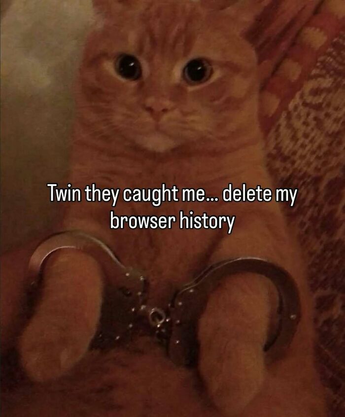 Orange cat with handcuffs on paws and a funny caption, a cute and funny cat meme for lighthearted humor.