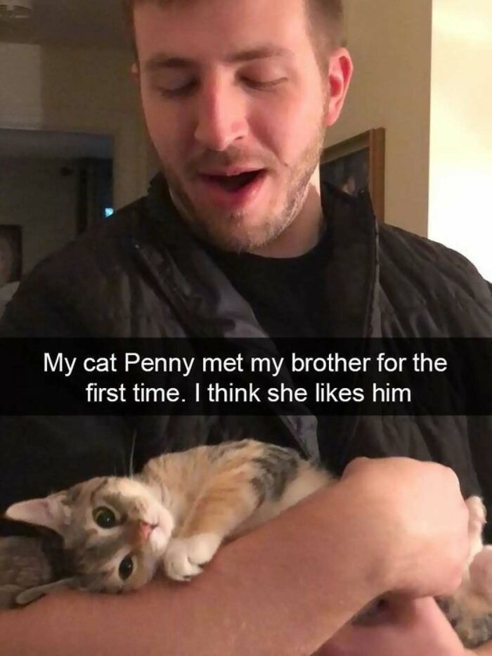 Man holding a goofy cat named Penny meeting his brother for the first time, showing funny cat behavior and expressions.