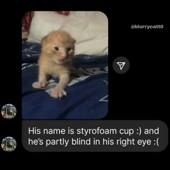 Kitten with partly blind eye resting on a blue blanket, one paw stretched out, unaware of how goofy it looks.