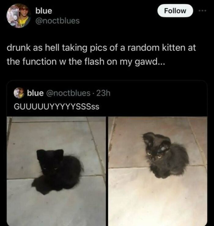 Two photos of a small black kitten on tiled floor, highlighting cats that are completely unaware of how goofy they are.